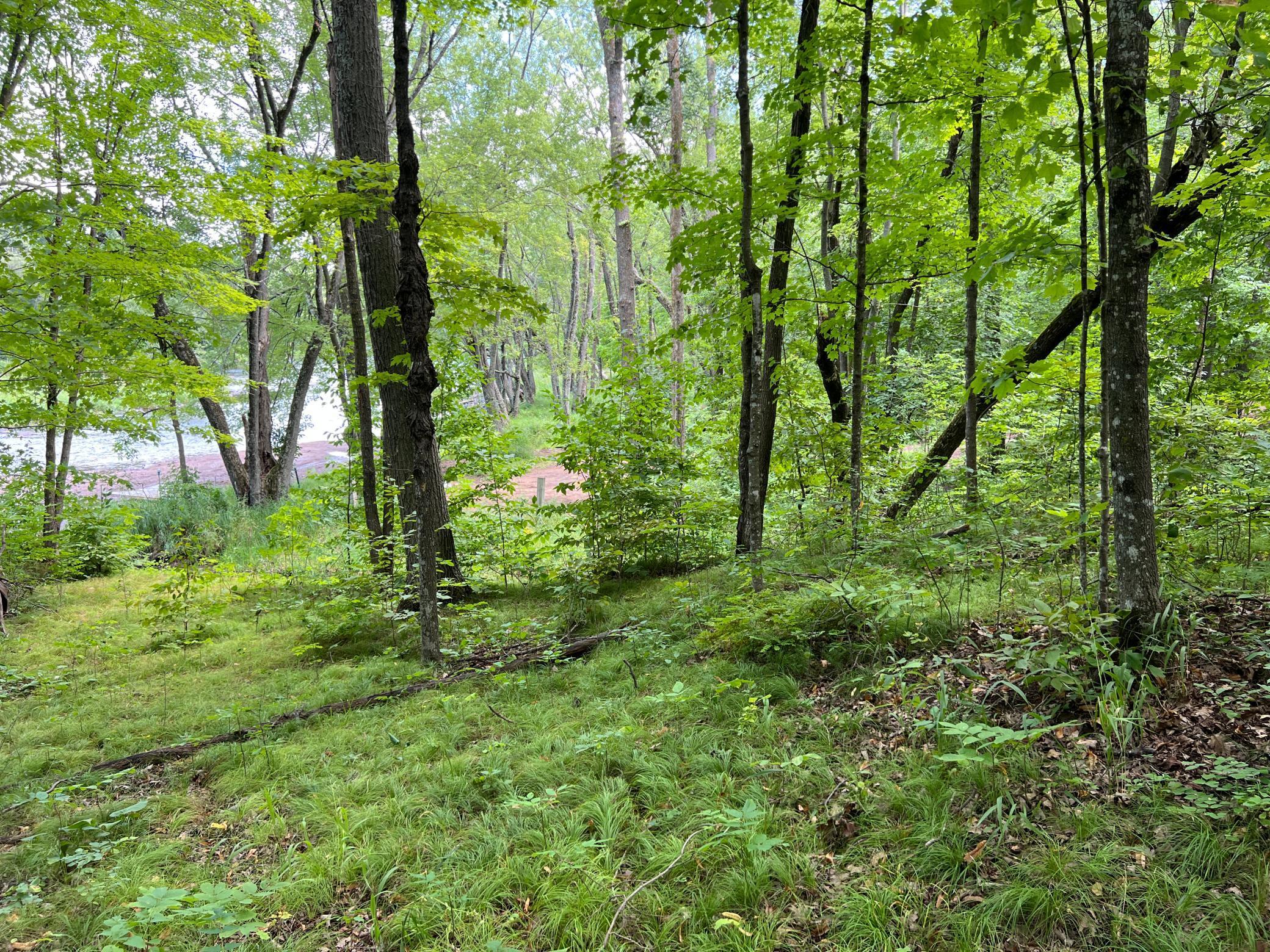 0 River Island Road Pine City, MN 55063 - Photo 9 of 29