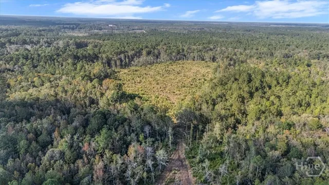 $6,500,000 | 641 Highway 80, Ellabell, GA 31308