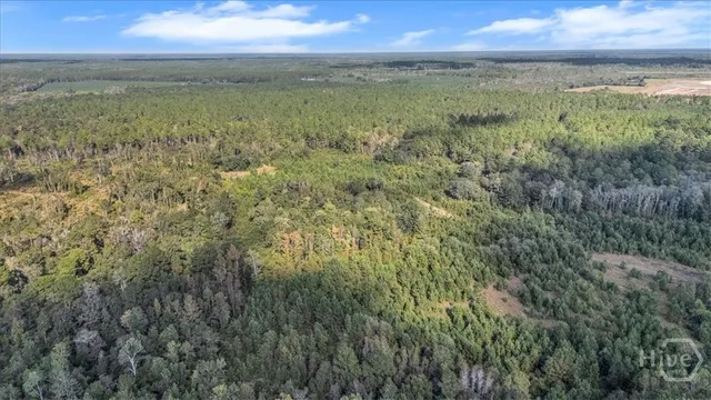 $6,500,000 | 641 Highway 80, Ellabell, GA 31308