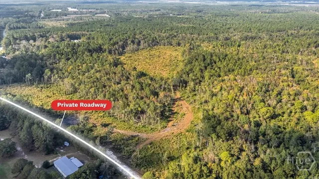$6,500,000 | 641 Highway 80, Ellabell, GA 31308