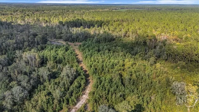 $6,500,000 | 641 Highway 80, Ellabell, GA 31308