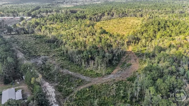 $6,500,000 | 641 Highway 80, Ellabell, GA 31308