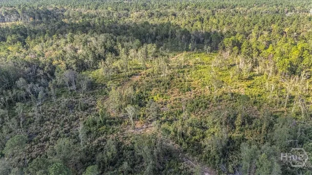 $6,500,000 | 641 Highway 80, Ellabell, GA 31308