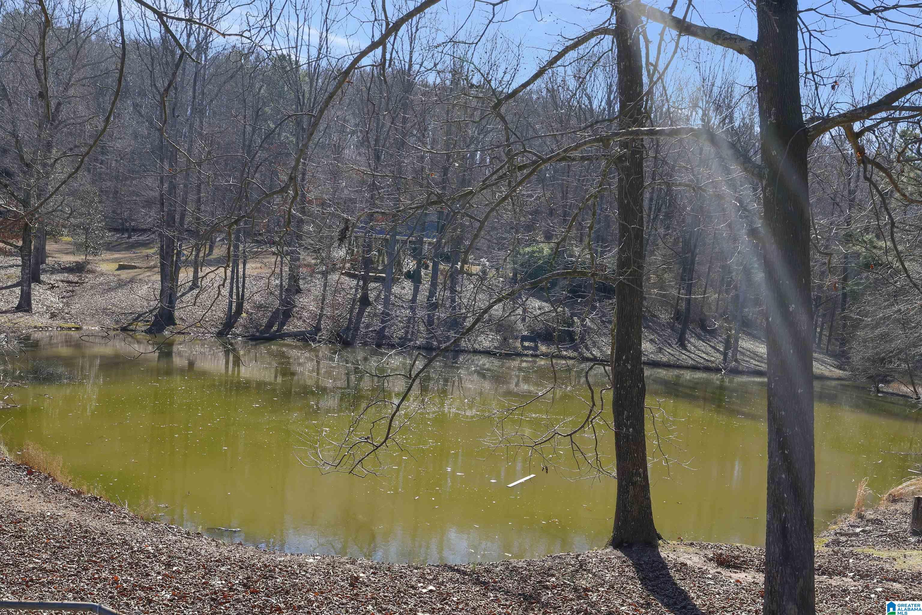 7425 Happy Hollow Road Trussville, AL 35173 - Photo 17 of 18