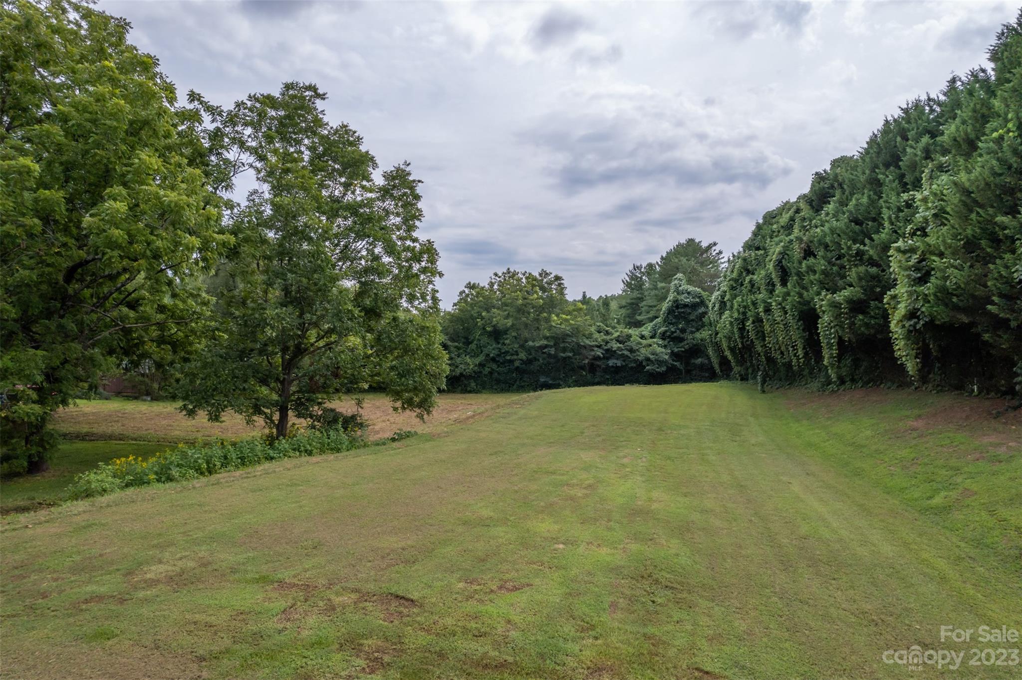 0 Nc Highway Mill Spring, NC 28756 - Photo 14 of 18