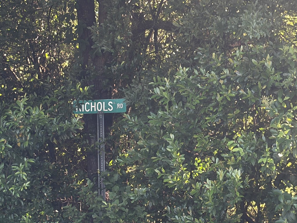 1 Nichols Road Pinckard, AL 36350 - Photo 2 of 29
