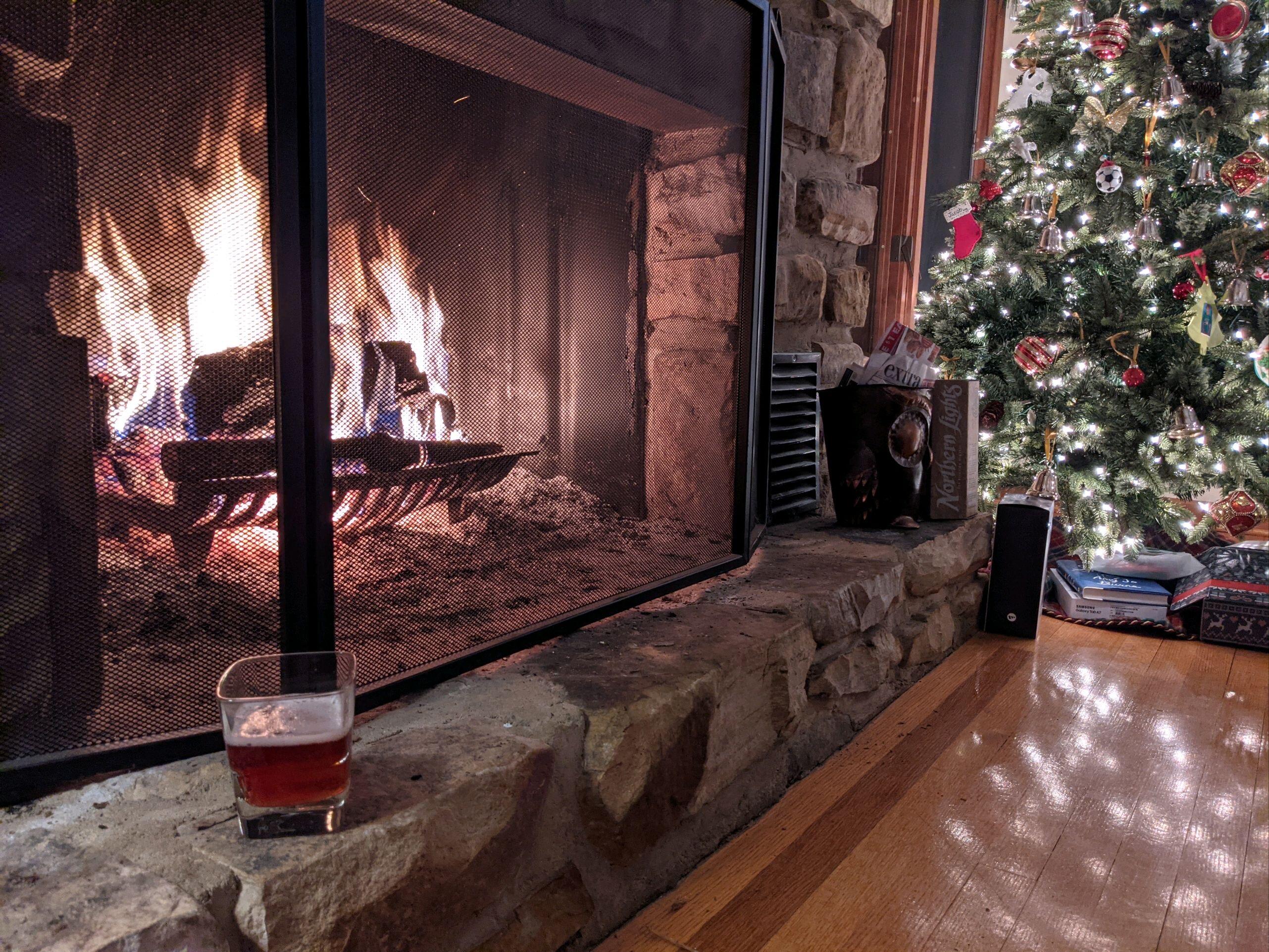 184 Sprinkle Road Fincastle, VA 24090 - Photo 14 of 66 fireplace