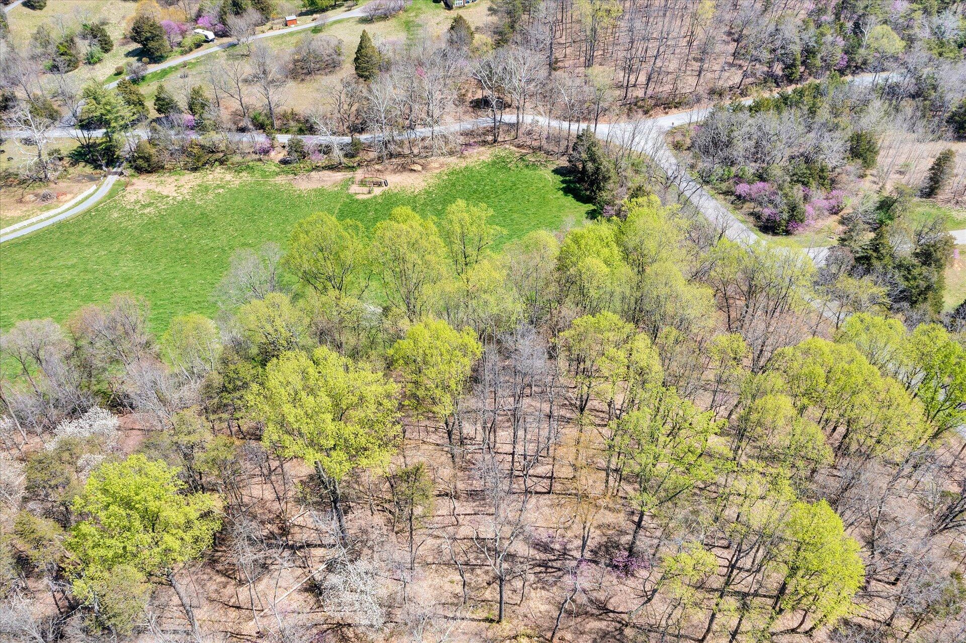 184 Sprinkle Road Fincastle, VA 24090 - Photo 52 of 66 51-DJI_0295