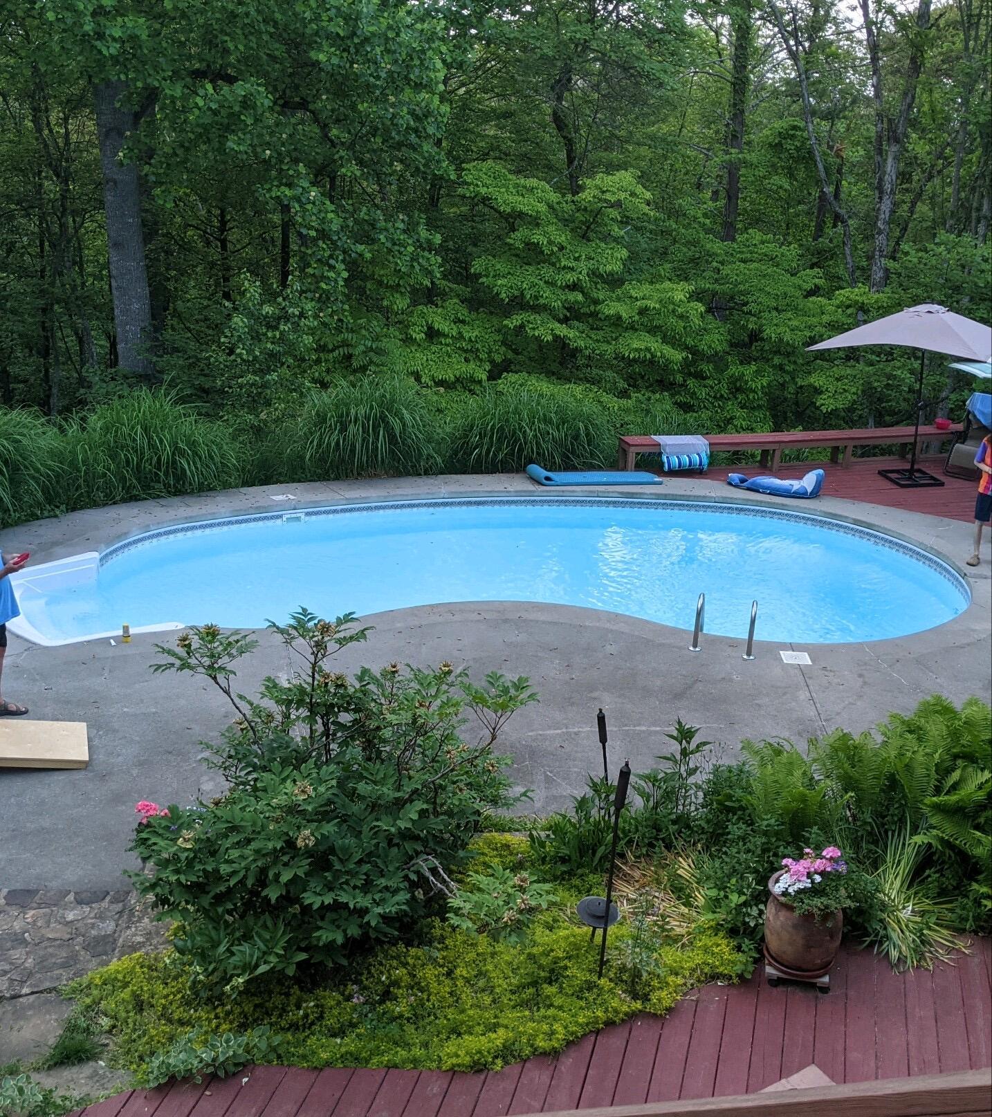 184 Sprinkle Road Fincastle, VA 24090 - Photo 53 of 66 pool