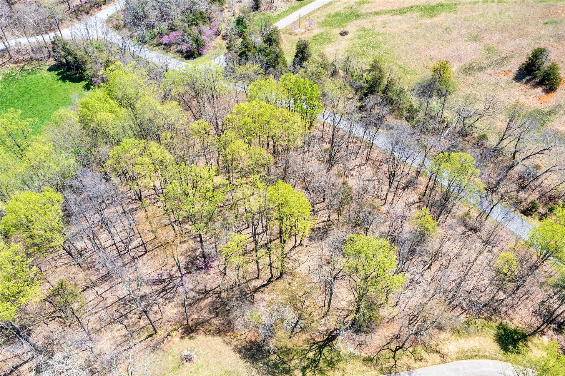 184 Sprinkle Road Fincastle, VA 24090 - Photo 54 of 66 52-DJI_0298