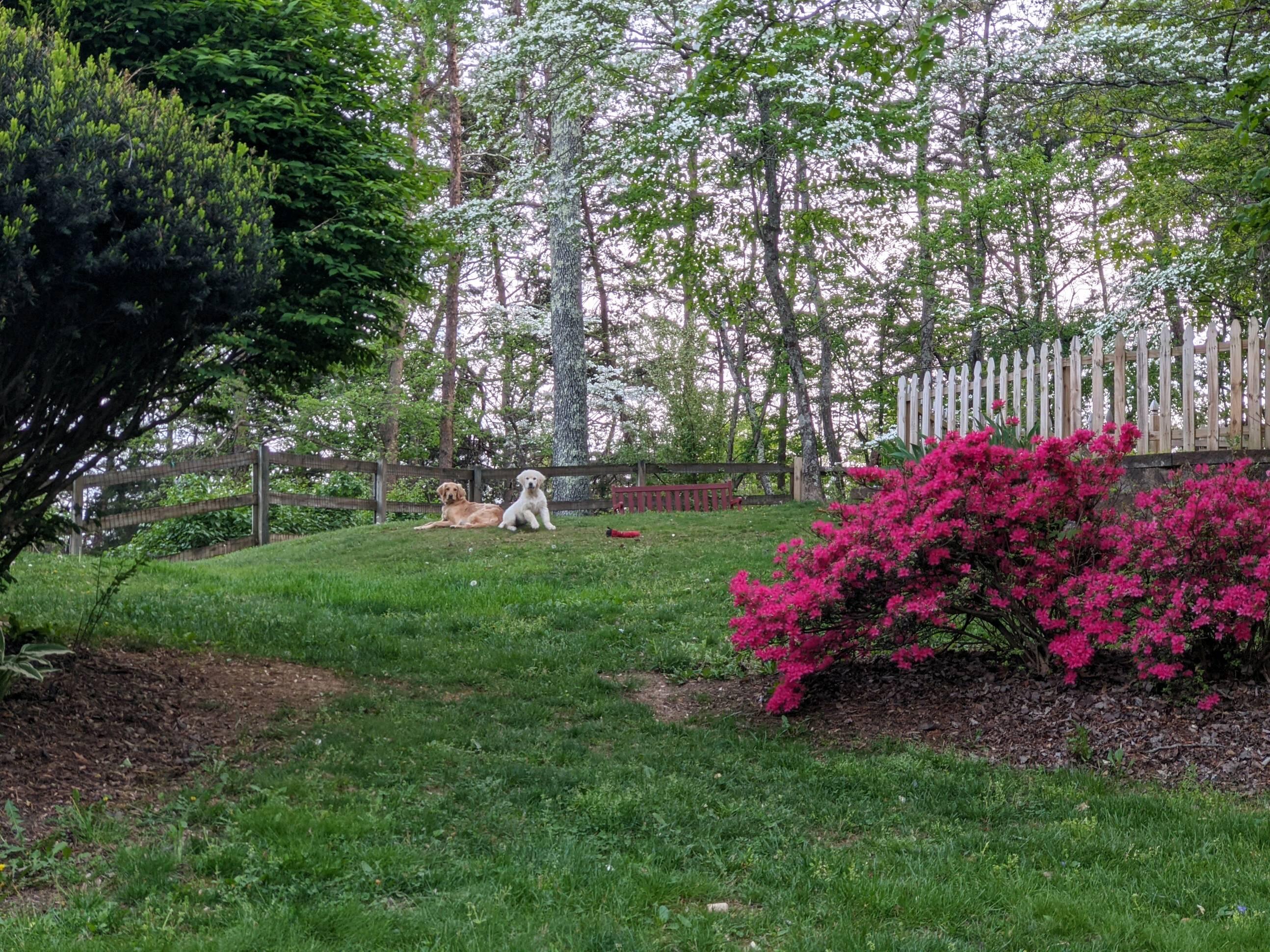 184 Sprinkle Road Fincastle, VA 24090 - Photo 66 of 66 landscaping