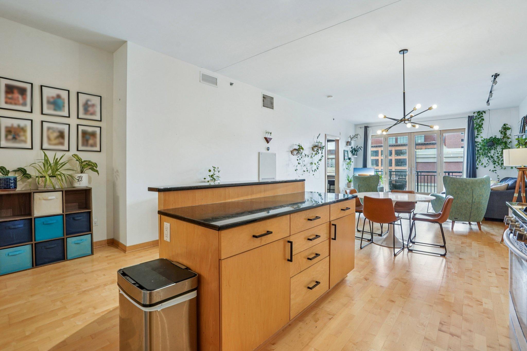 401 North 2nd Street, Unit 317 Minneapolis, MN 55401 - Photo 12 of 42