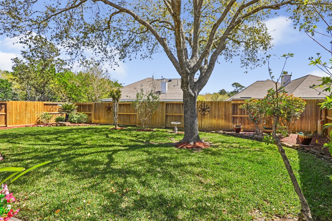 25605 Dartmaker Court Porter, TX 77365 - Photo 32 of 34 a view of a yard in front of house
