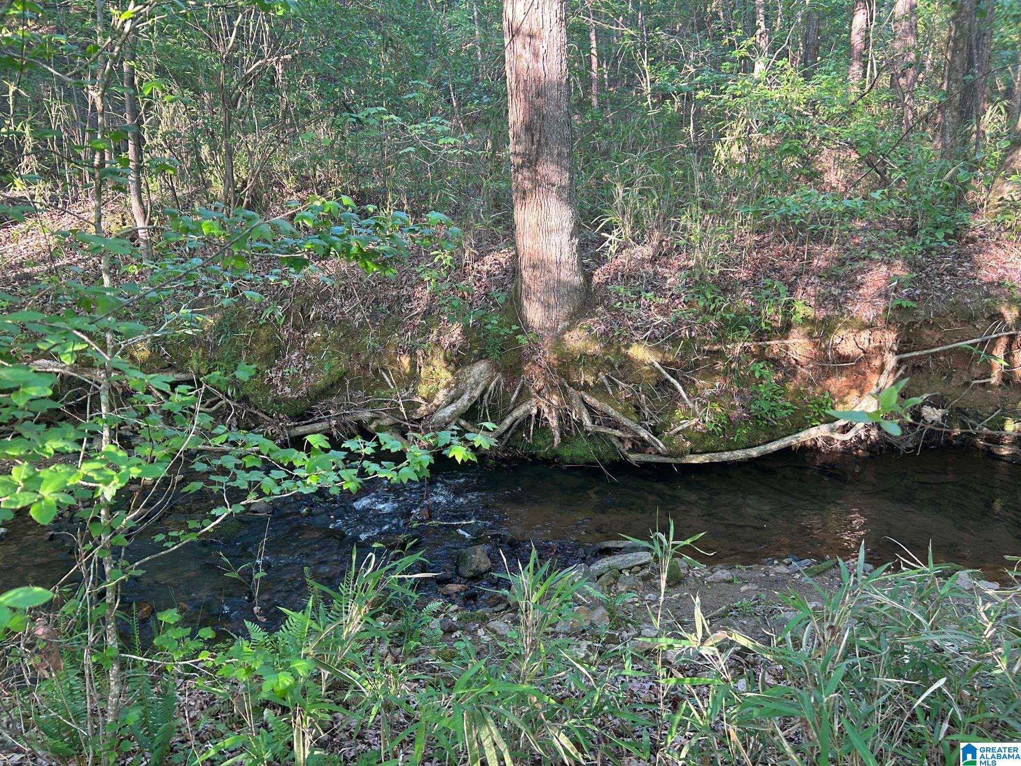 639 County Road, Unit TRACT 2 14 Roanoke, AL 36274 - Photo 1 of 1