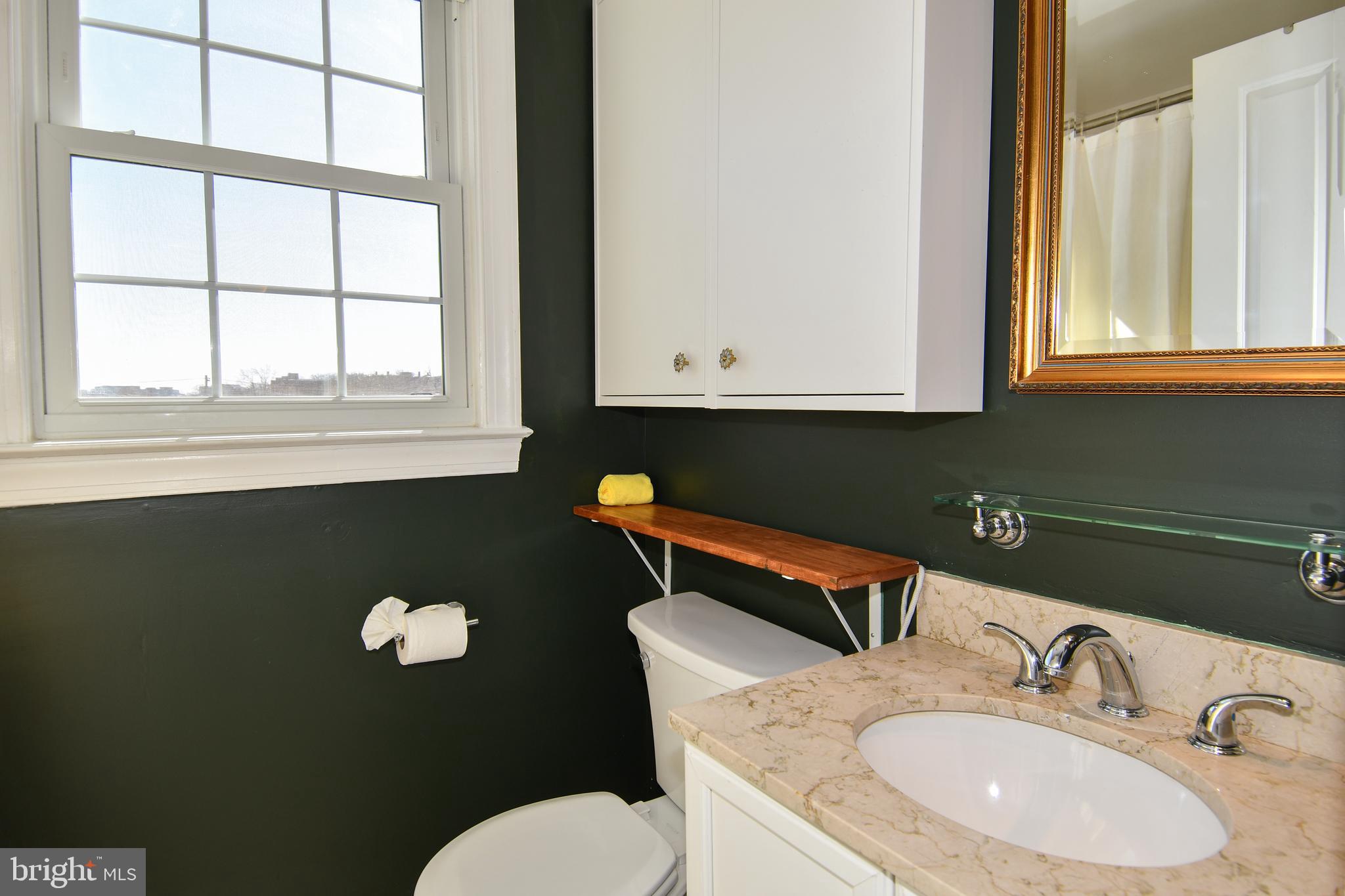 2625 3rd Street Northeast, Unit 301 Washington, DC 20002 - Photo 13 of 21 a bathroom with a sink mirror and toilet