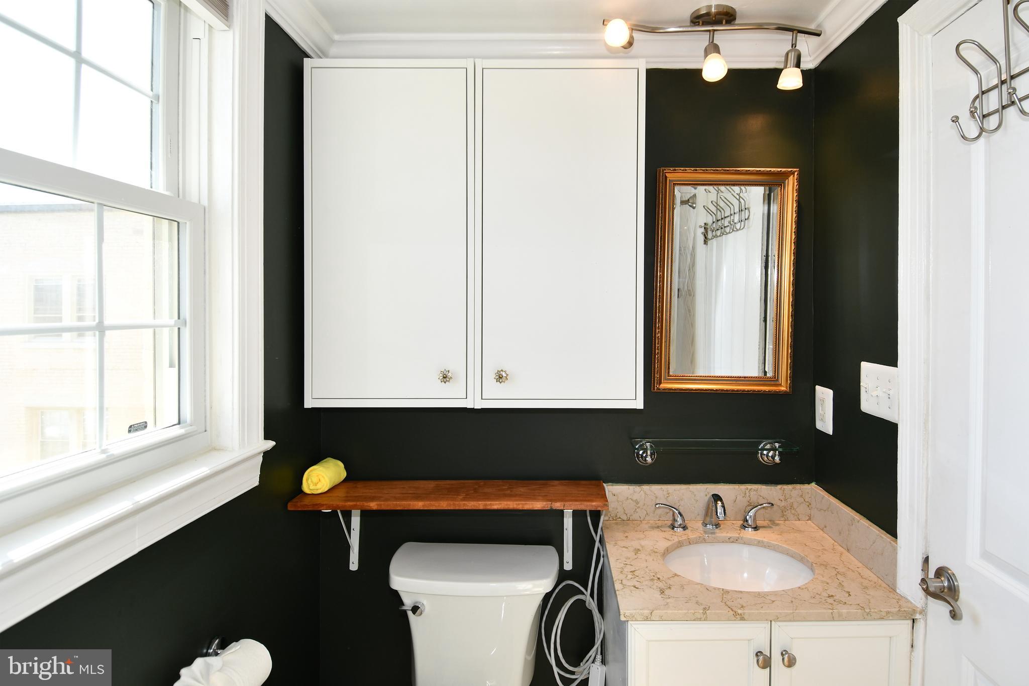 2625 3rd Street Northeast, Unit 301 Washington, DC 20002 - Photo 14 of 21 a bathroom with a sink vanity and a mirror