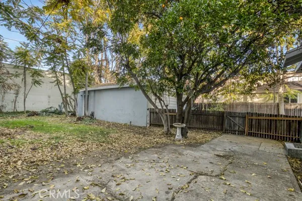 a plant that is in a garden