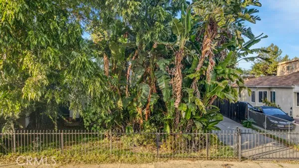 a view of a house with a tree