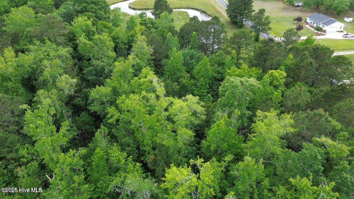 2045 Dolph Lewis Road Cerro Gordo, NC 28430 - Photo 11 of 29 20250508232548040742000000-o