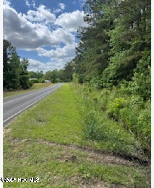 2045 Dolph Lewis Road Cerro Gordo, NC 28430 - Photo 13 of 29 20250509001500551870000000-o