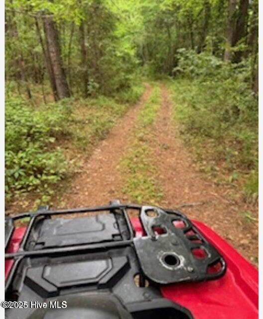 2045 Dolph Lewis Road Cerro Gordo, NC 28430 - Photo 14 of 29 20250509001501596693000000-o