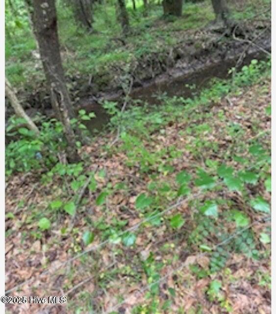 2045 Dolph Lewis Road Cerro Gordo, NC 28430 - Photo 15 of 29 20250509001503138945000000-o