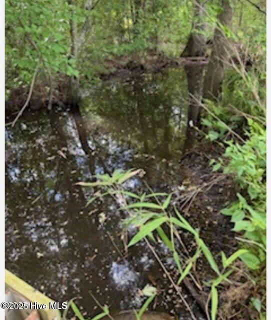 2045 Dolph Lewis Road Cerro Gordo, NC 28430 - Photo 17 of 29 20250509001505874172000000-o