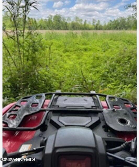 2045 Dolph Lewis Road Cerro Gordo, NC 28430 - Photo 18 of 29 20250509001507267677000000-o