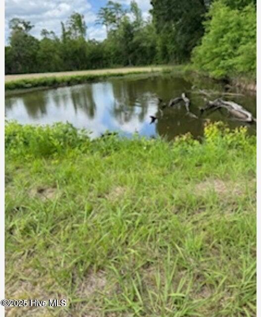 2045 Dolph Lewis Road Cerro Gordo, NC 28430 - Photo 19 of 29 20250509001508244889000000-o