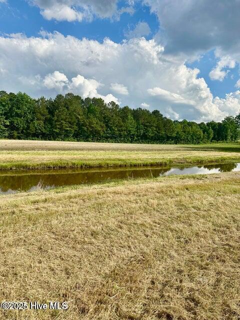 2045 Dolph Lewis Road Cerro Gordo, NC 28430 - Photo 20 of 29 20250509001514093444000000-o