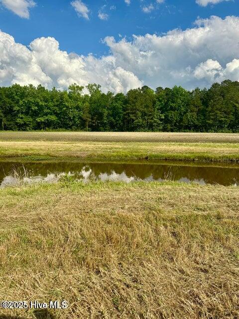 2045 Dolph Lewis Road Cerro Gordo, NC 28430 - Photo 21 of 29 20250509001520427686000000-o