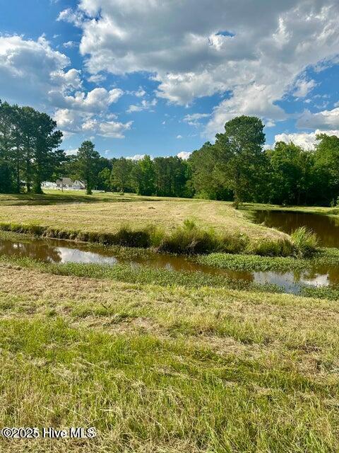 2045 Dolph Lewis Road Cerro Gordo, NC 28430 - Photo 22 of 29 20250509001527156873000000-o