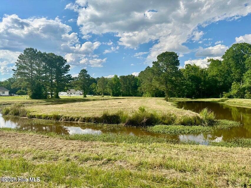 2045 Dolph Lewis Road Cerro Gordo, NC 28430 - Photo 23 of 29 20250509002210790373000000-o