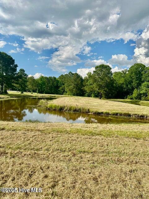 2045 Dolph Lewis Road Cerro Gordo, NC 28430 - Photo 24 of 29 20250509002217494913000000-o