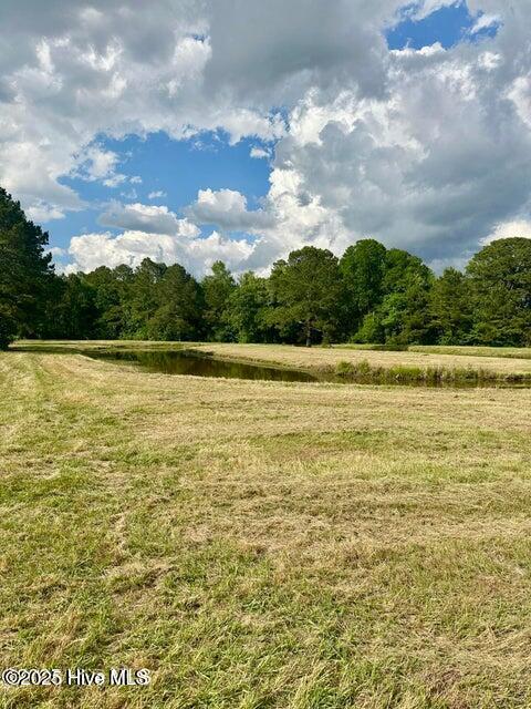 2045 Dolph Lewis Road Cerro Gordo, NC 28430 - Photo 25 of 29 20250509002223570530000000-o