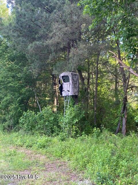 2045 Dolph Lewis Road Cerro Gordo, NC 28430 - Photo 26 of 29 20250509024044670278000000-o