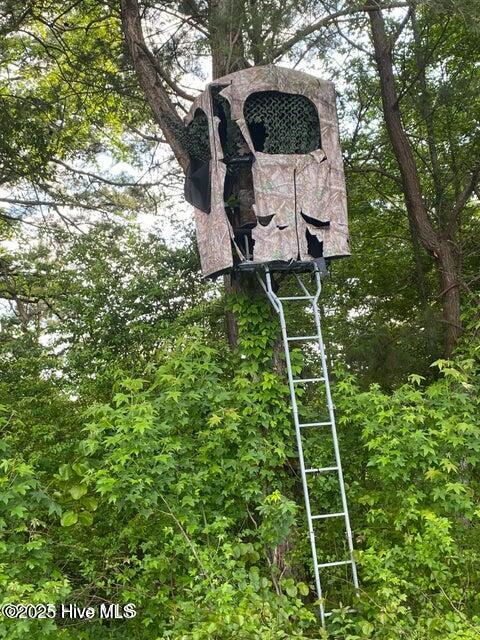 2045 Dolph Lewis Road Cerro Gordo, NC 28430 - Photo 27 of 29 20250509024048798624000000-o