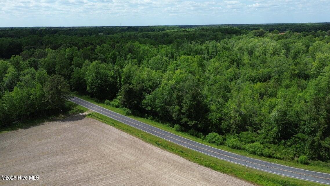 2045 Dolph Lewis Road Cerro Gordo, NC 28430 - Photo 7 of 29 20250508232529197697000000-o