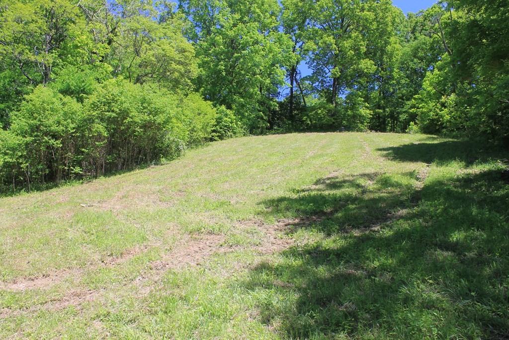 0 Rhodes Road New Market, TN 37820 - Photo 13 of 16