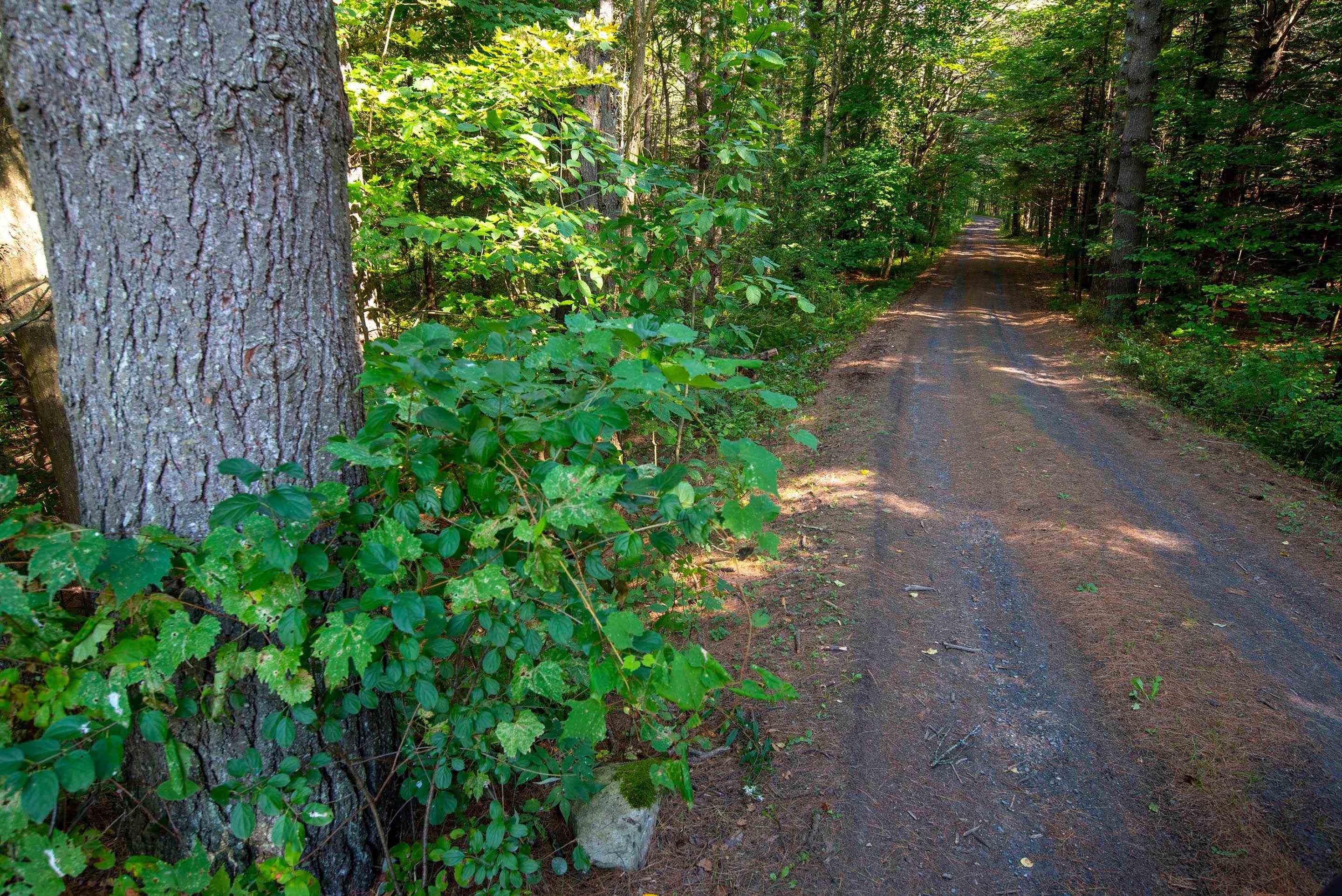 300 Center Road East Montpelier, VT 05602 - Photo 5 of 36