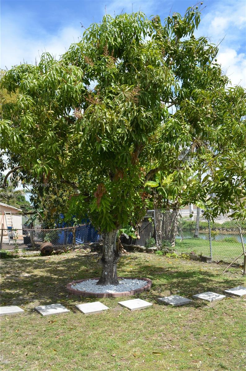 29925 Southwest 143rd Court Homestead, FL 33033 - Photo 32 of 40 a view of a tree in the middle of a yard