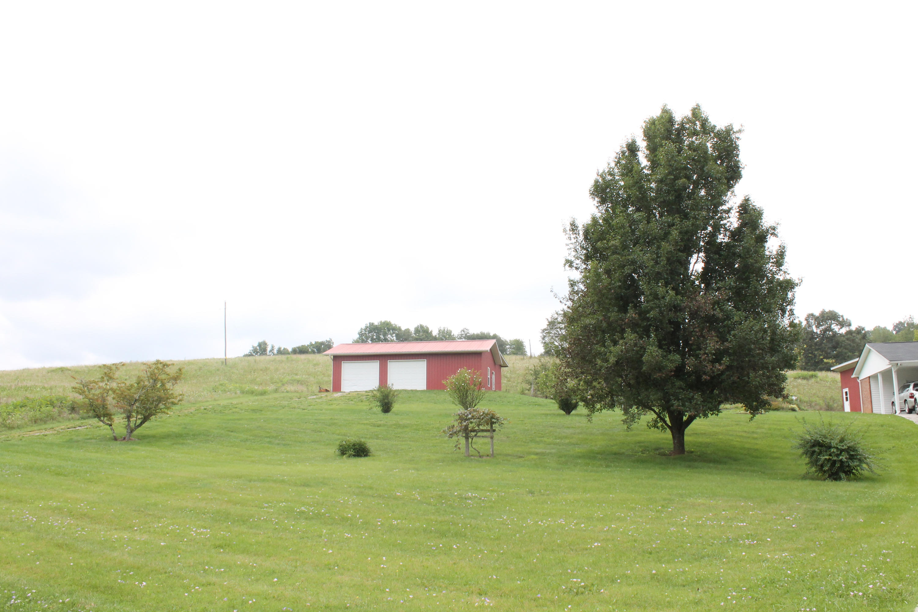185 Hickory Valley Road Maynardville, TN 37807 - Photo 14 of 16 Front view of yard w/detached garage