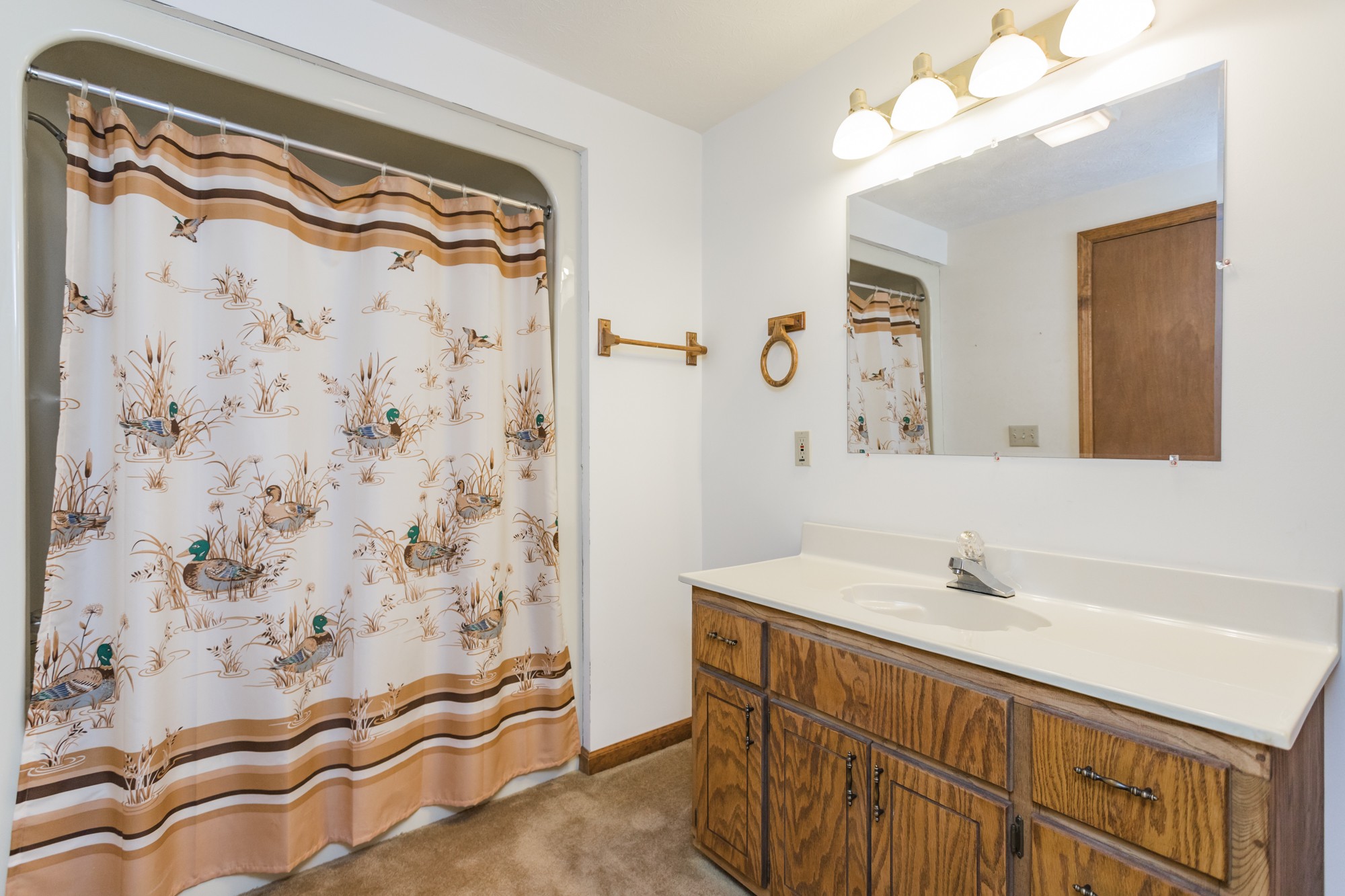 338 Black Road Dickson, TN 37055 - Photo 14 of 22 a bathroom with a sink and a mirror