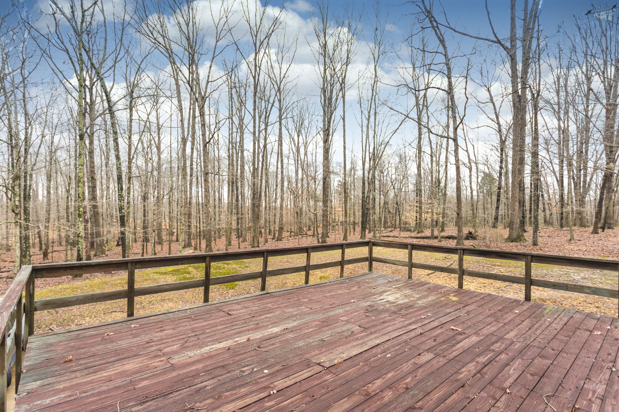 338 Black Road Dickson, TN 37055 - Photo 18 of 22 a view of outdoor space with seating area