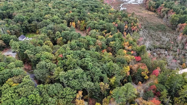 a view of a dirt road and trees
