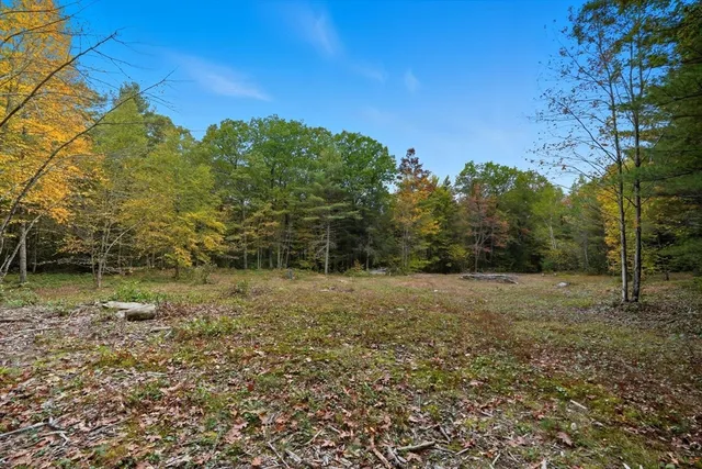 a view of a yard with a tree