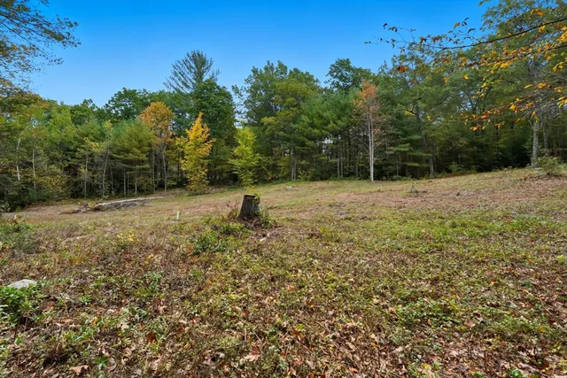 a backyard of a house with lots of green space