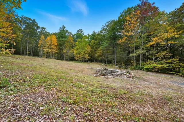 a view of a field with trees in the background