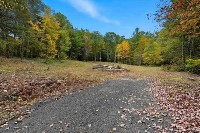 a view of dirt yard with large trees
