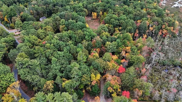 an aerial view of residential house with outdoor space and trees all around